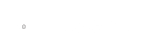 Admiral Logo
